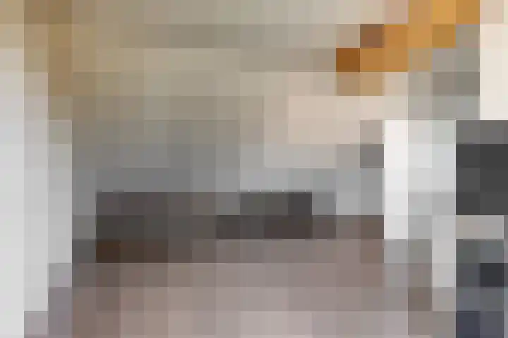 Dilledonk-Noord 3 Spijkenisse thumbnail 27