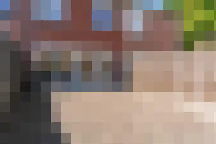 Dilledonk-Noord 3 Spijkenisse thumbnail 28