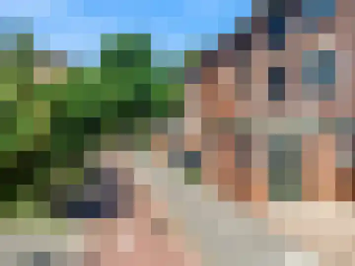 Dilledonk-Noord 3 Spijkenisse thumbnail 34
