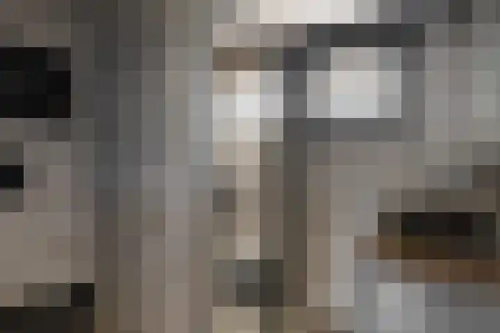 Dilledonk-Noord 3 Spijkenisse thumbnail 4