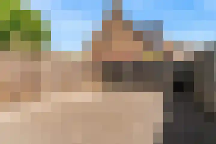 Dilledonk-Noord 3 Spijkenisse thumbnail 5