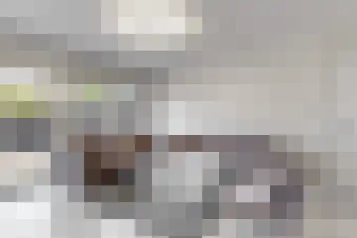 Dilledonk-Noord 3 Spijkenisse thumbnail 8