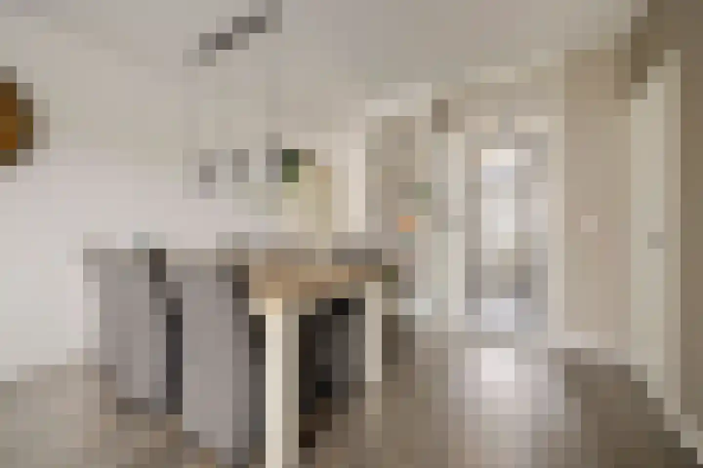 Dilledonk-Zuid 22 Spijkenisse thumbnail 10