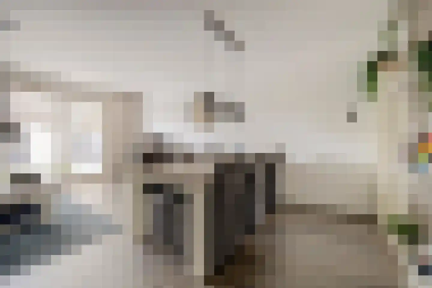 Dilledonk-Zuid 22 Spijkenisse thumbnail 11