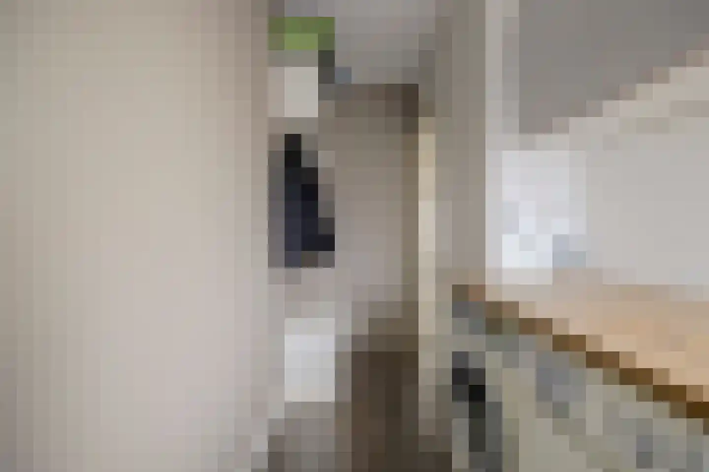 Dilledonk-Zuid 22 Spijkenisse thumbnail 17