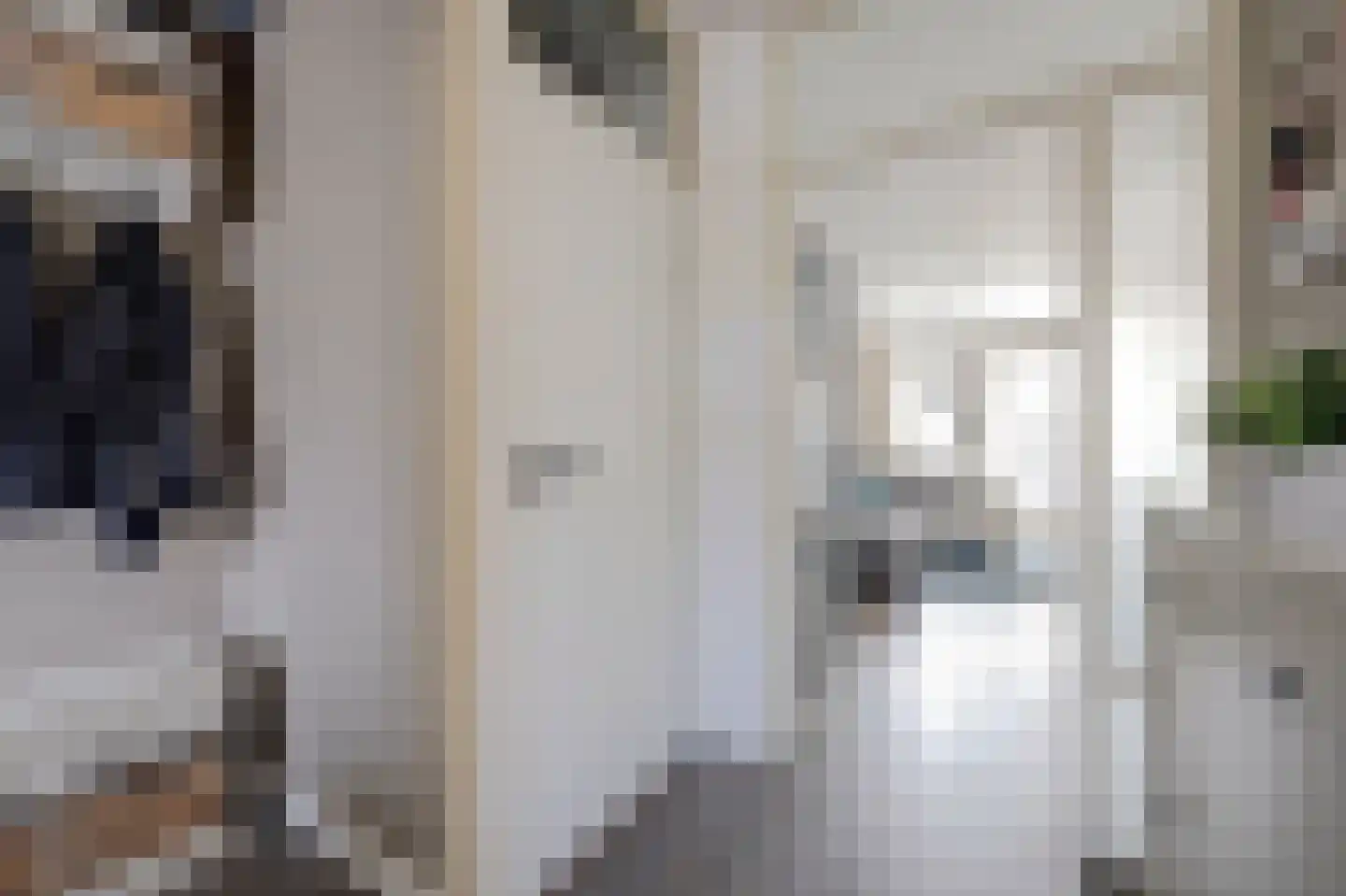 Dilledonk-Zuid 22 Spijkenisse thumbnail 19