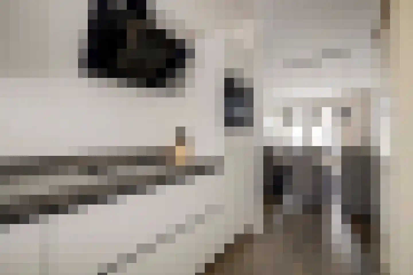 Dilledonk-Zuid 22 Spijkenisse thumbnail 4