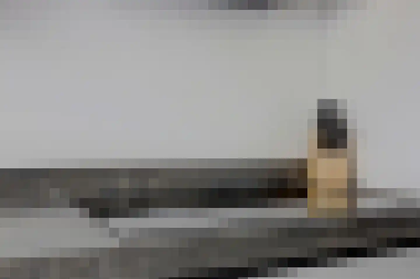 Dilledonk-Zuid 22 Spijkenisse thumbnail 5