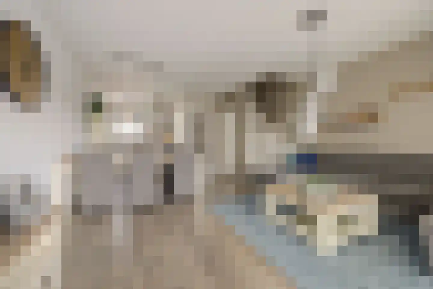 Dilledonk-Zuid 22 Spijkenisse thumbnail 9