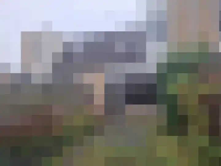 Dilledonk-Zuid 25 Spijkenisse thumbnail 12