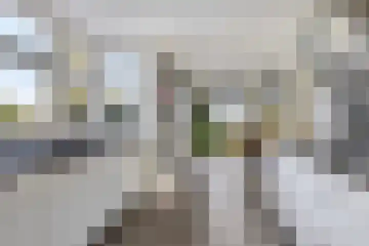 Dilledonk-Zuid 25 Spijkenisse thumbnail 6