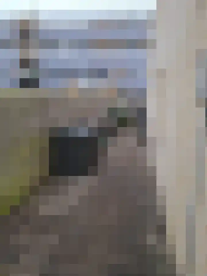 Dilledonk-Zuid 27 Spijkenisse thumbnail 10