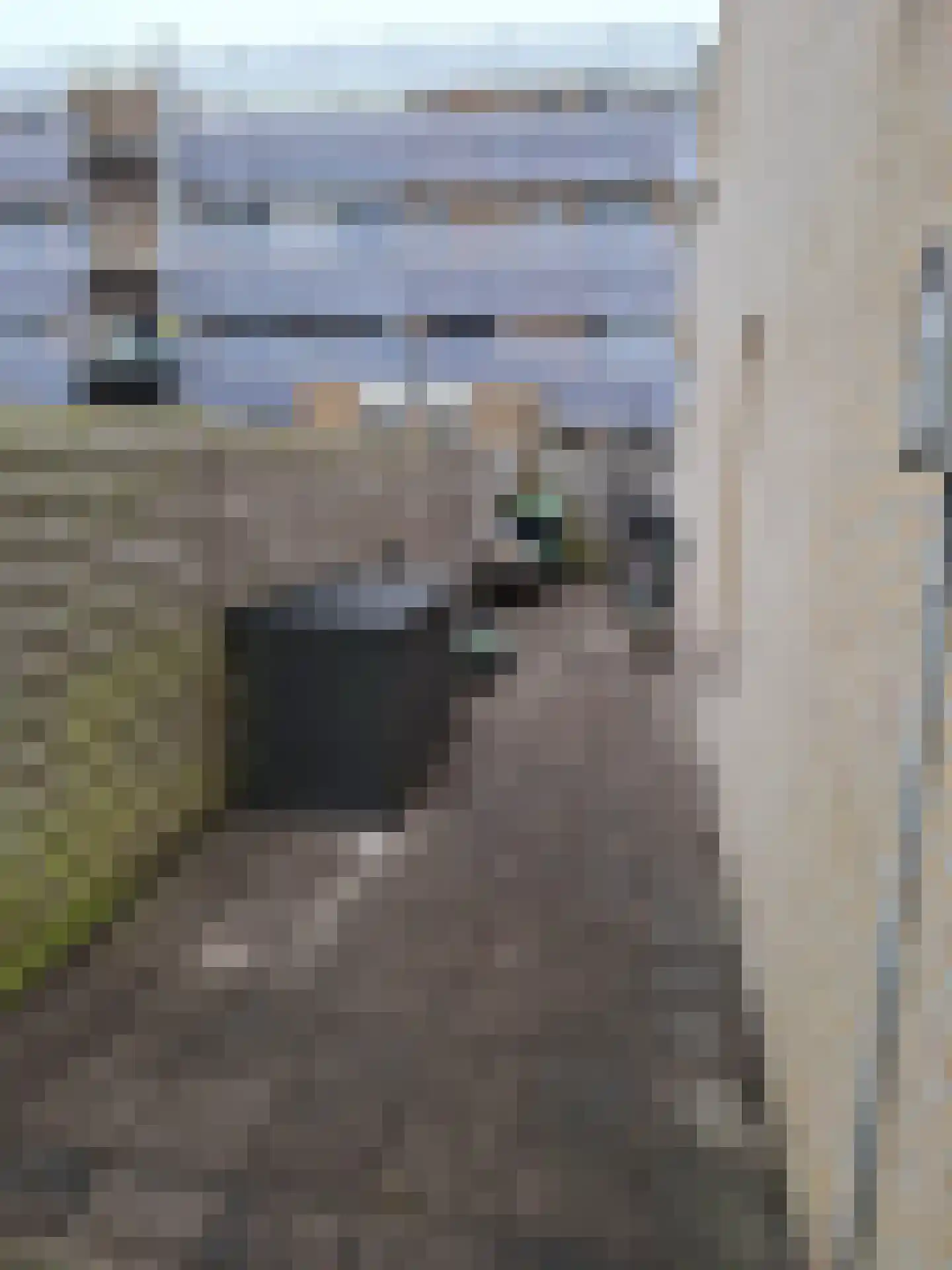 Dilledonk-Zuid 27 Spijkenisse thumbnail 10