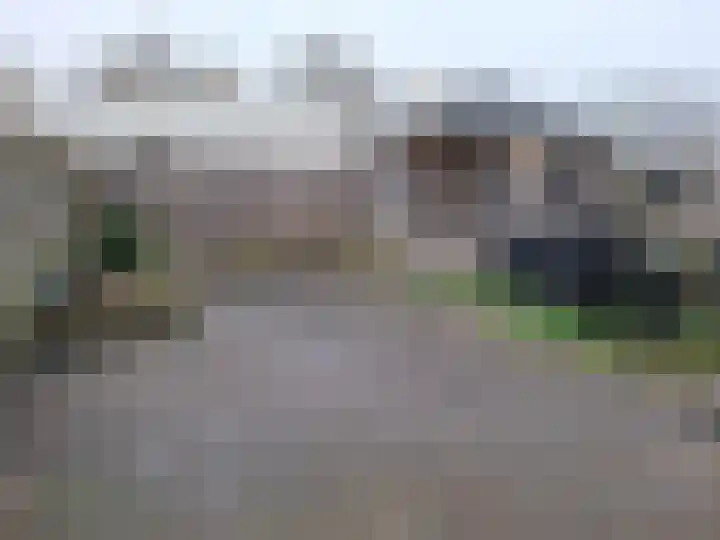 Dilledonk-Zuid 27 Spijkenisse thumbnail 11