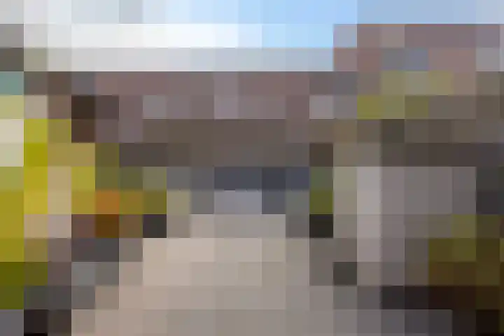 Dilledonk-Zuid 27 Spijkenisse thumbnail 12
