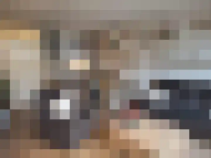 Dilledonk-Zuid 27 Spijkenisse foto 2