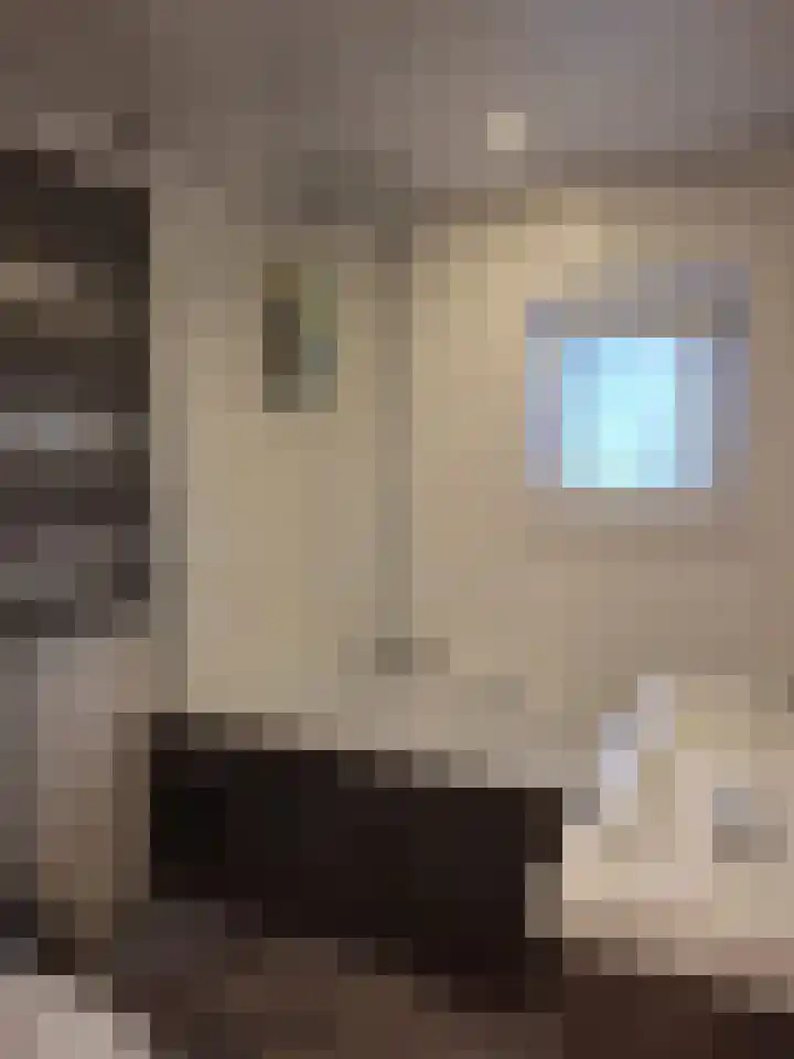 Dilledonk-Zuid 27 Spijkenisse thumbnail 8