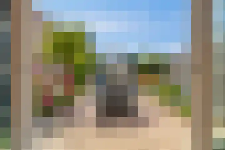 Dilledonk-Zuid 30 Spijkenisse thumbnail 14