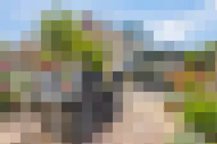 Dilledonk-Zuid 30 Spijkenisse thumbnail 15