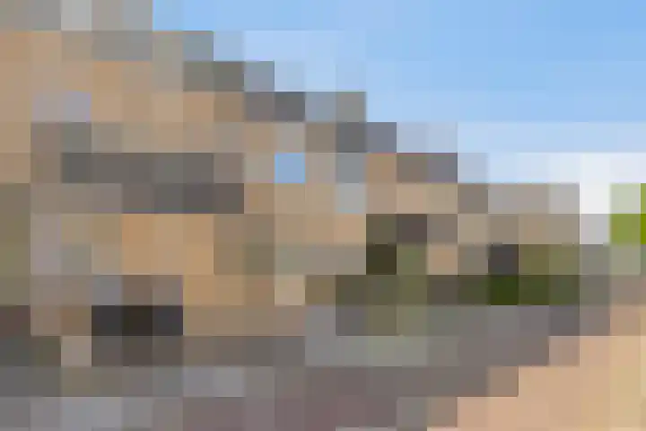 Dilledonk-Zuid 30 Spijkenisse thumbnail 25