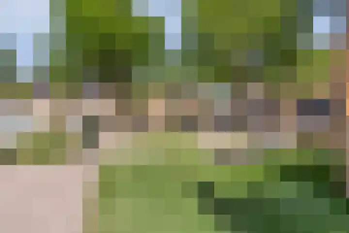 Dilledonk-Zuid 30 Spijkenisse thumbnail 27