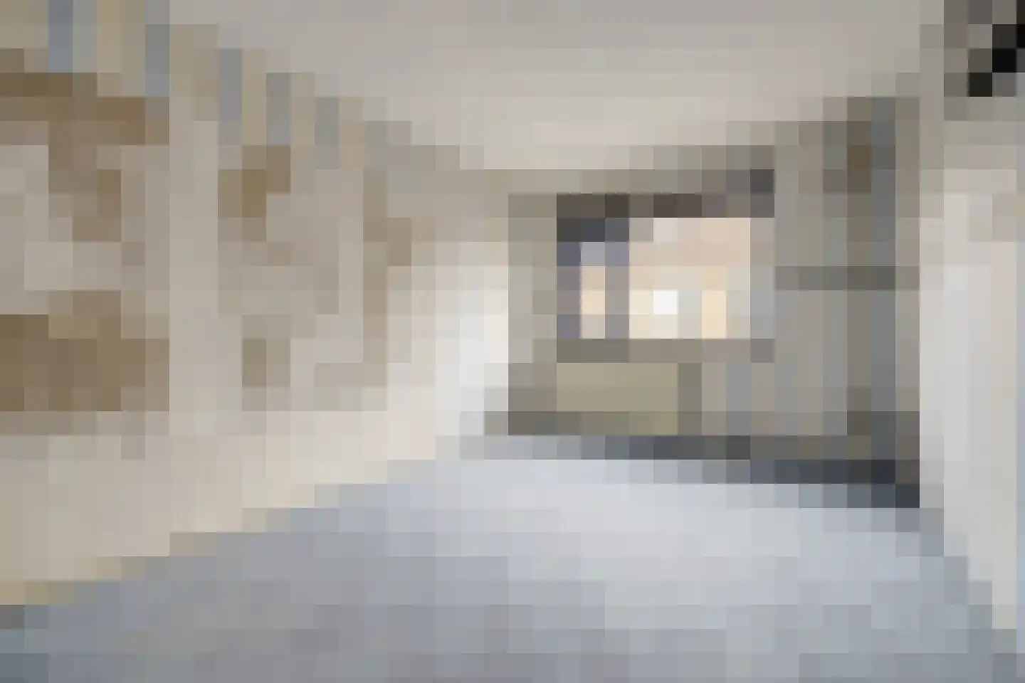 Dilledonk-Zuid 60 Spijkenisse thumbnail 13