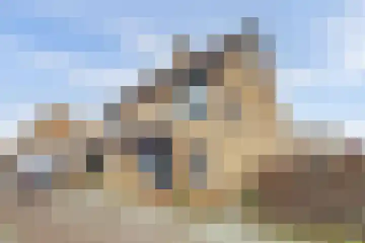 Dilledonk-Zuid 60 Spijkenisse thumbnail 19