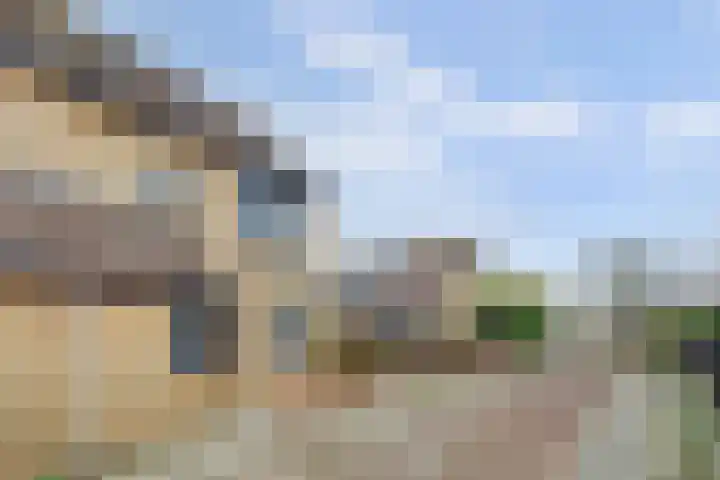 Dilledonk-Zuid 60 Spijkenisse thumbnail 20