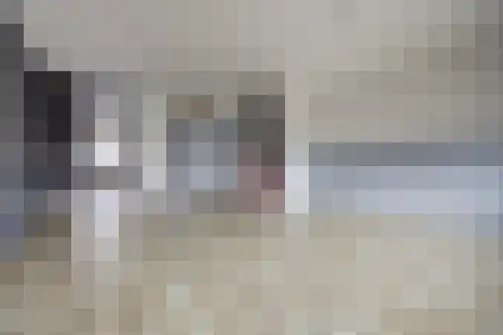 Dilledonk-Zuid 60 Spijkenisse thumbnail 6