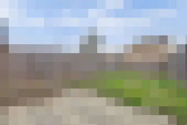 Dilledonk-Zuid 60 Spijkenisse thumbnail 8