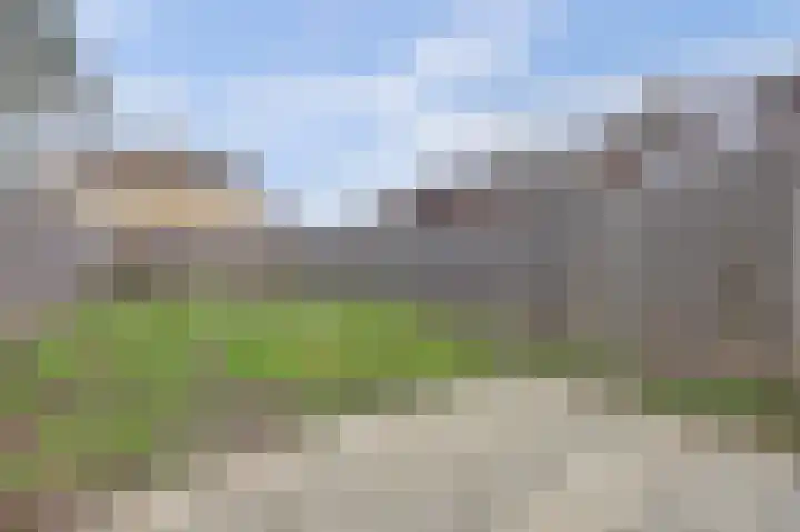 Dilledonk-Zuid 60 Spijkenisse thumbnail 9