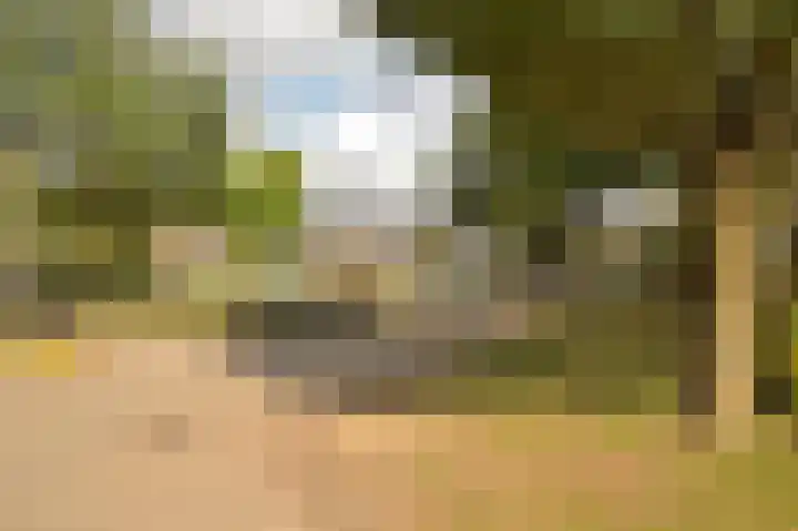 Dillegaard 150 Heerlen thumbnail 25