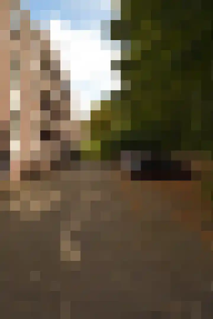 Dillegaard 150 Heerlen thumbnail 26