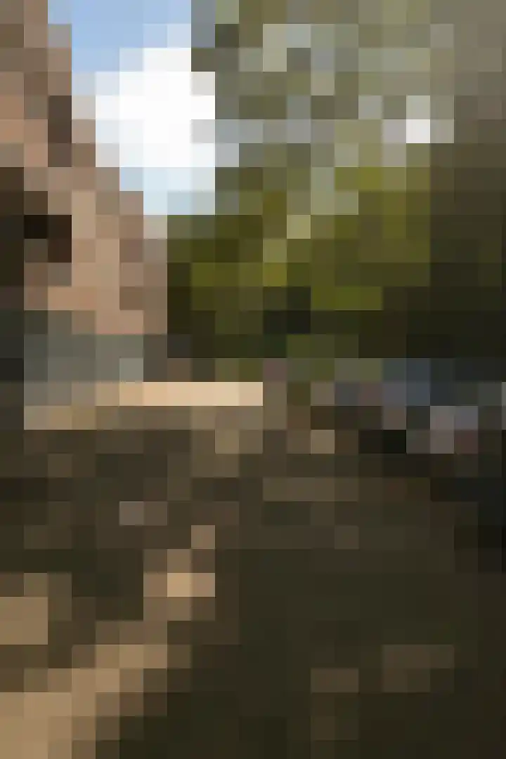 Dillegaard 150 Heerlen thumbnail 27