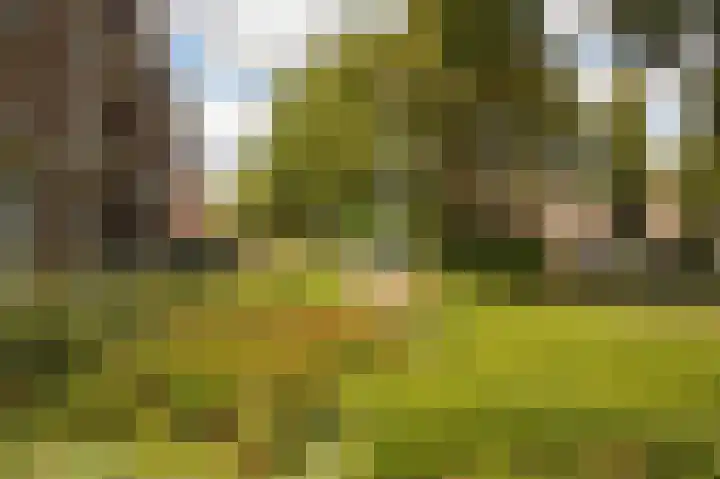 Dillegaard 150 Heerlen thumbnail 28