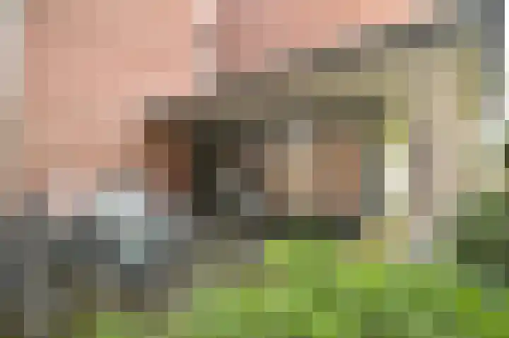Dillegaard 150 Heerlen thumbnail 5