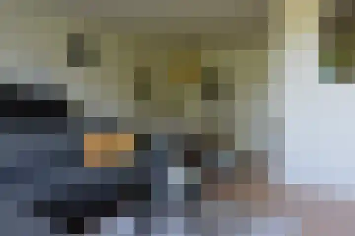 Dillegaard 186 Heerlen thumbnail 11