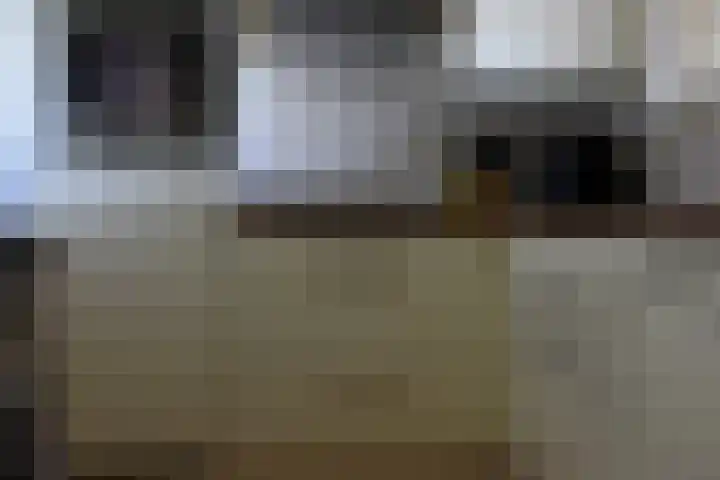 Dillegaard 186 Heerlen thumbnail 14