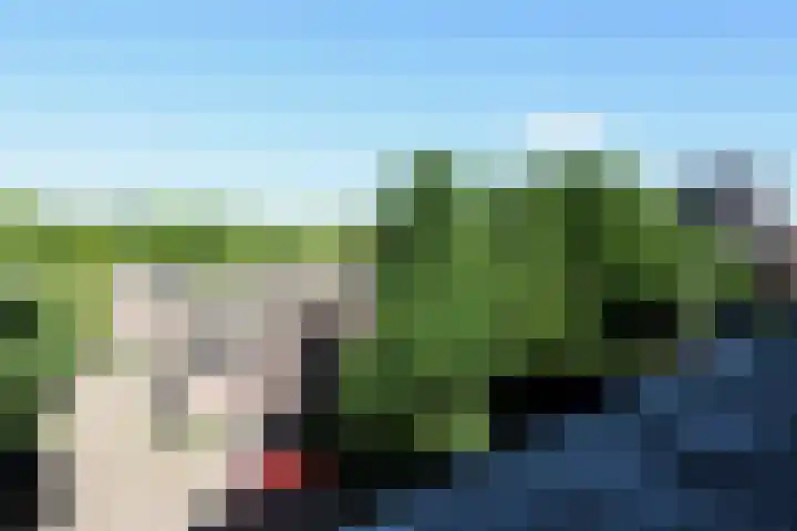 Dillegaard 186 Heerlen thumbnail 21