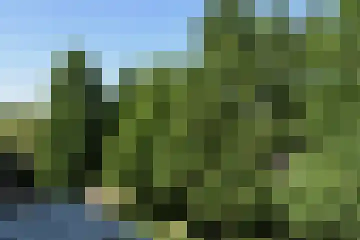 Dillegaard 186 Heerlen thumbnail 22