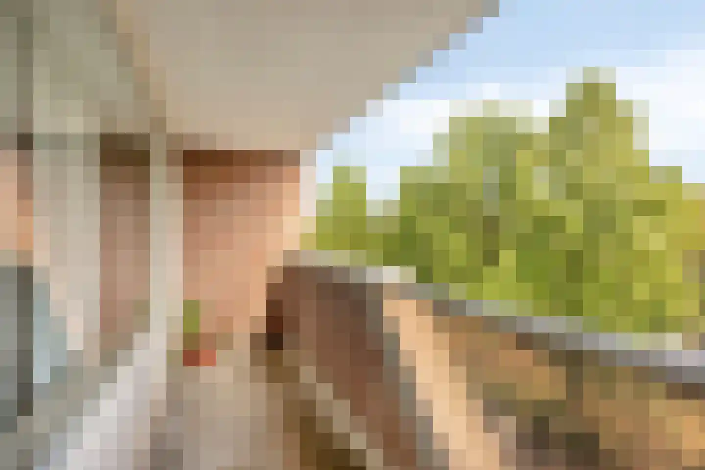 Dillegaard 187 Heerlen thumbnail 20