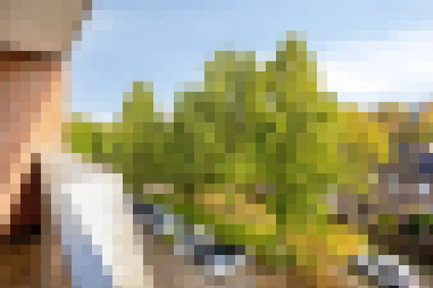 Dillegaard 187 Heerlen thumbnail 22