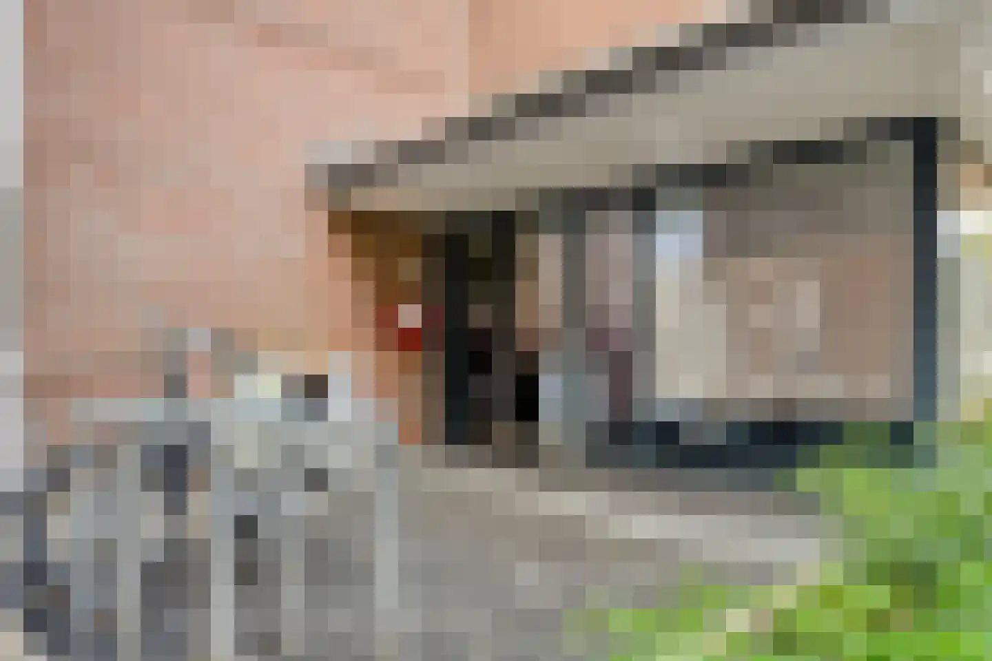 Dillegaard 187 Heerlen thumbnail 6