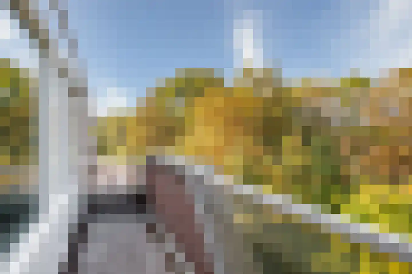 Dillegaard 242 Heerlen thumbnail 9