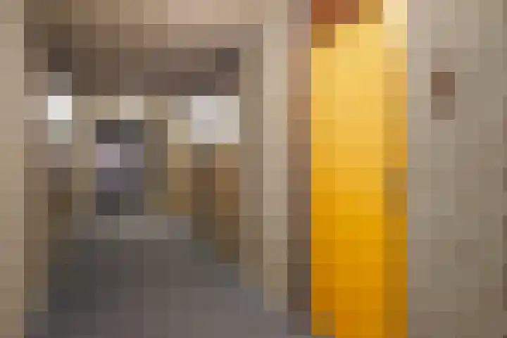 Dillegaard 244 Heerlen thumbnail 12
