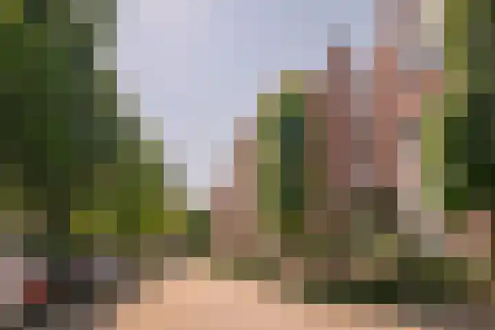 Dillegaard 244 Heerlen thumbnail 14
