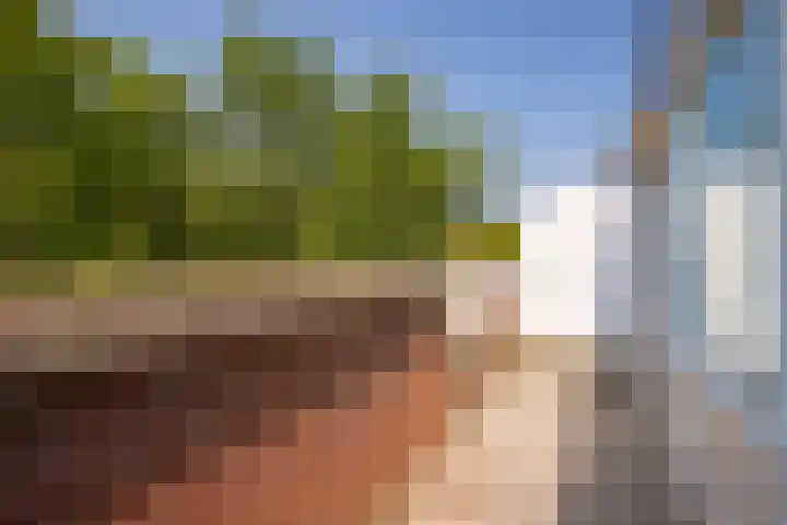 Dillegaard 244 Heerlen thumbnail 8