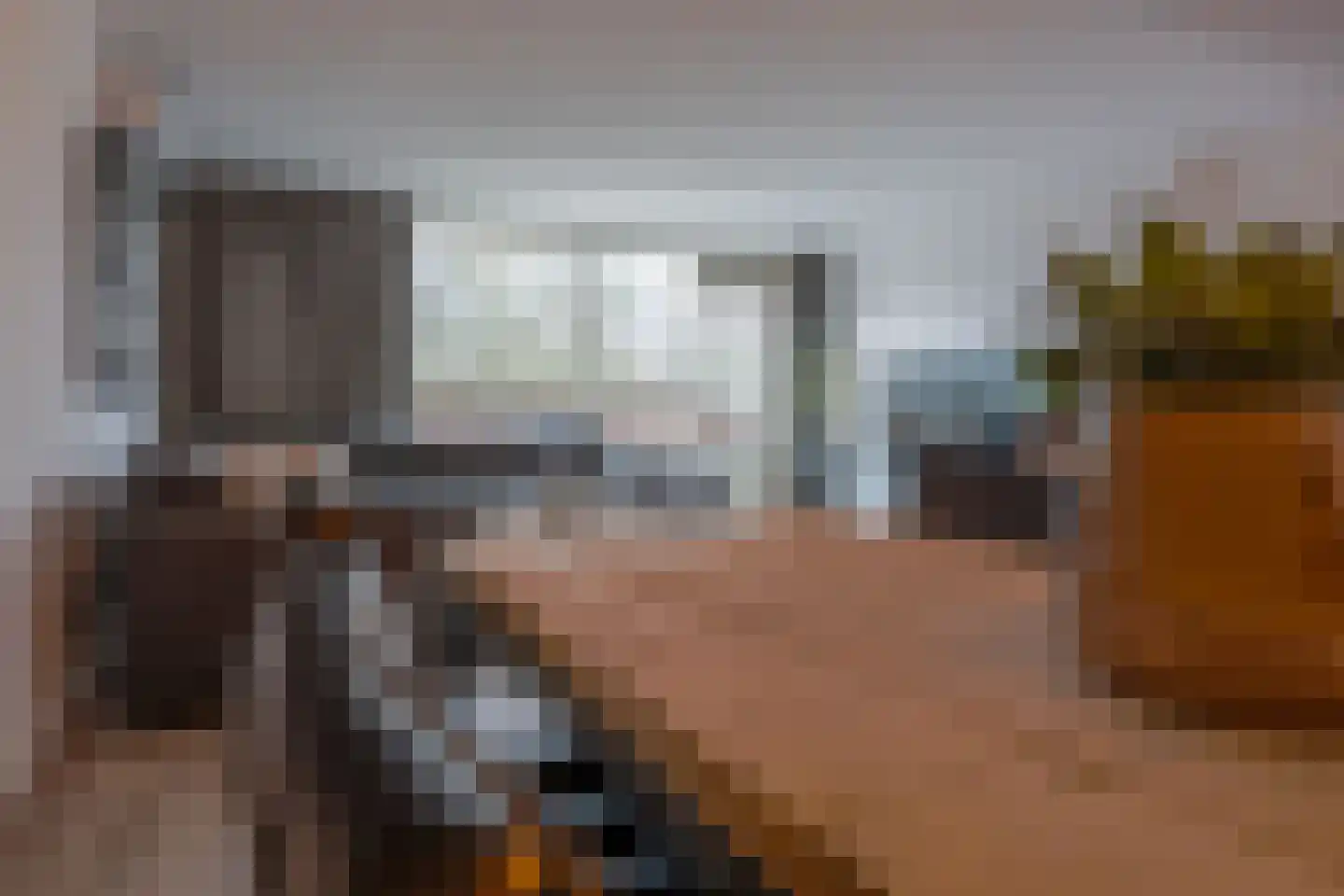Dillegaard 245 Heerlen thumbnail 17