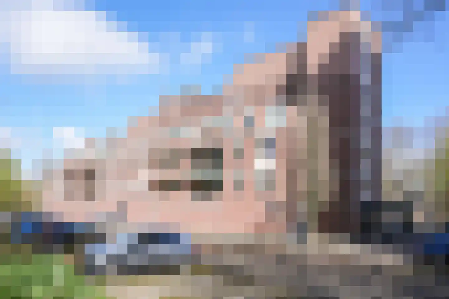 Dillegaard 264 Heerlen