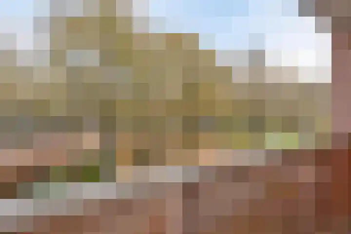 Dillegaard 277 Heerlen thumbnail 20